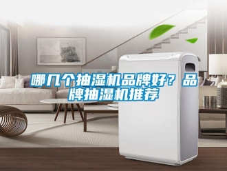 企業新聞哪幾個抽濕機品牌好？品牌抽濕機推薦
