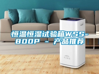 知識百科恒溫恒濕試驗箱WSS-800P - 產品推薦