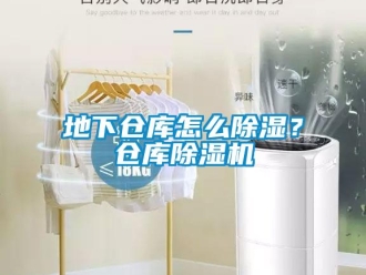 企業新聞地下倉庫怎么除濕？倉庫除濕機