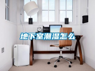 企業(yè)新聞地下室潮濕怎么