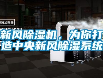 知識百科新風除濕機，為你打造中央新風除濕系統