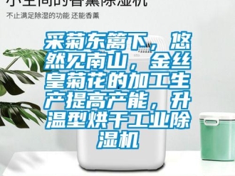 企業新聞采菊東籬下，悠然見南山，金絲皇菊花的加工生產提高產能，升溫型烘干工業除濕機