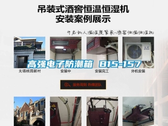 常見問題高強(qiáng)電子防潮箱 B15-157