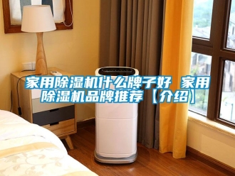 企業(yè)新聞家用除濕機什么牌子好 家用除濕機品牌推薦【介紹】