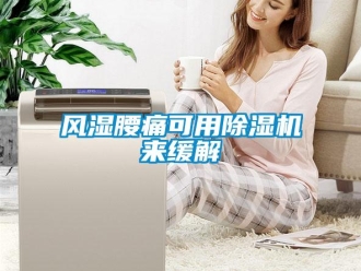 企業(yè)新聞風濕腰痛可用除濕機來緩解