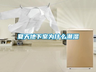 企業(yè)新聞夏天地下室為什么潮濕