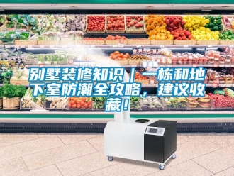 企業(yè)新聞別墅裝修知識(shí)｜一棟和地下室防潮全攻略，建議收藏！