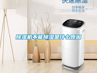 企業(yè)新聞除濕機不能除濕是什么原因