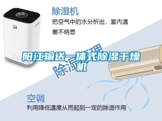 行業(yè)新聞陽江輸送一體式除濕干燥機(jī)