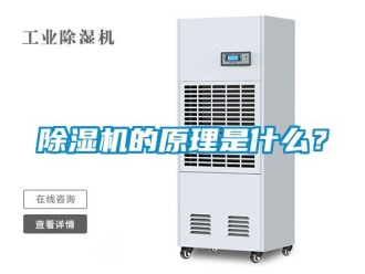 企業新聞除濕機的原理是什么？