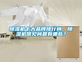 企業(yè)新聞除濕機(jī)十大品牌排行榜，除濕機(jī)常見(jiàn)問(wèn)題有哪些？
