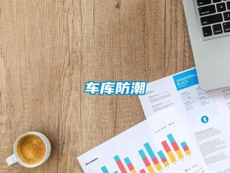 企業(yè)新聞車庫防潮