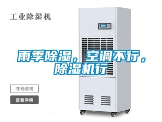 知識百科雨季除濕，空調(diào)不行，除濕機(jī)行