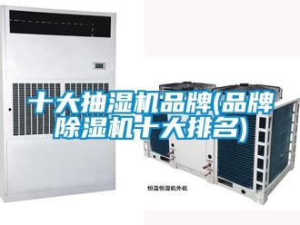 企業新聞十大抽濕機品牌(品牌除濕機十大排名)