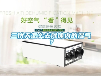 常見問(wèn)題三伏天怎么去除體內(nèi)的濕氣？