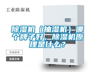 企業(yè)新聞除濕機（抽濕機）哪個牌子好，除濕機原理是什么？