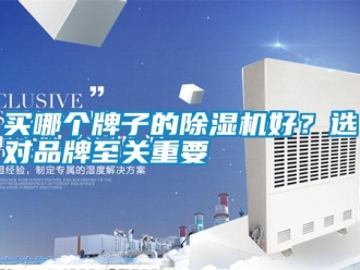 行業新聞買哪個牌子的除濕機好？選對品牌至關重要