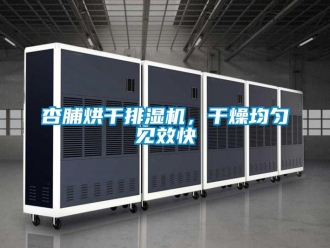 知識百科杏脯烘干排濕機，干燥均勻見效快