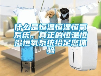 知識百科什么是恒溫恒濕恒氧系統，真正的恒溫恒濕恒氧系統給足您體驗