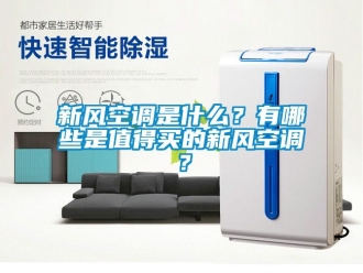 企業新聞新風空調是什么？有哪些是值得買的新風空調？