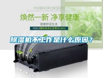 企業(yè)新聞除濕機不工作是什么原因？