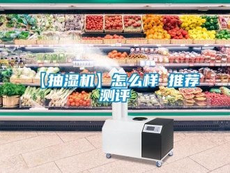 企業(yè)新聞【抽濕機(jī)】怎么樣 推薦 測評