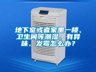 企業(yè)新聞地下室或者家里一樓、衛(wèi)生間等潮濕、有異味、發(fā)霉怎么辦？