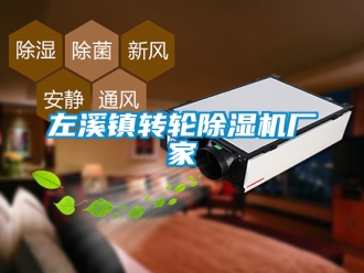 企業(yè)新聞左溪鎮(zhèn)轉(zhuǎn)輪除濕機廠家