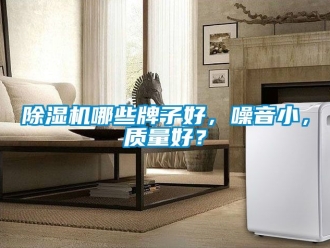 行業新聞除濕機哪些牌子好，噪音小，質量好？