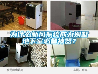 知識百科為什么新風系統成為別墅地下室必備神器？