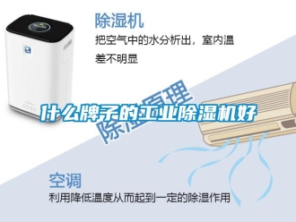 知識百科什么牌子的工業(yè)除濕機(jī)好