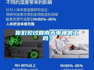 常見問題你們見過回南天電梯罷工嗎？