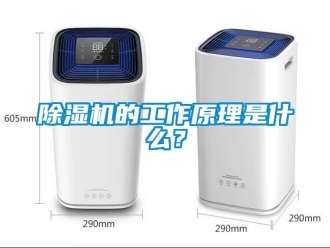 企業新聞除濕機的工作原理是什么？