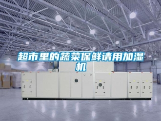 企業新聞超市里的蔬菜保鮮請用加濕機