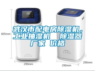 企業新聞武漢市配電房除濕機，工業抽濕機  除濕器廠家 價格