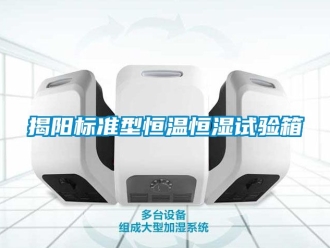 知識(shí)百科揭陽(yáng)標(biāo)準(zhǔn)型恒溫恒濕試驗(yàn)箱
