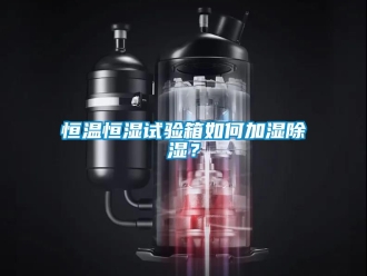 知識百科恒溫恒濕試驗箱如何加濕除濕？