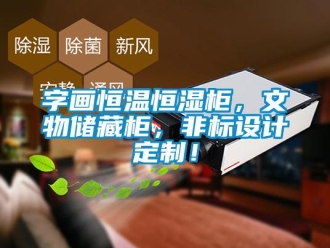 知識百科字畫恒溫恒濕柜，文物儲藏柜，非標設計定制！