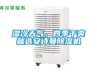 企業新聞濕冷天氣，四季干爽就選安詩曼除濕機