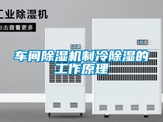 企業新聞車間除濕機制冷除濕的工作原理
