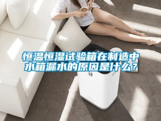 知識百科恒溫恒濕試驗箱在制造中水箱漏水的原因是什么？
