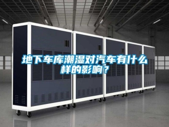 企業(yè)新聞地下車庫潮濕對(duì)汽車有什么樣的影響？