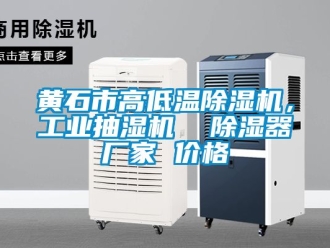 企業新聞黃石市高低溫除濕機，工業抽濕機  除濕器廠家 價格