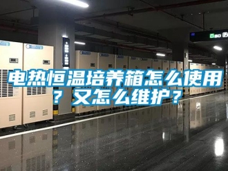 知識(shí)百科電熱恒溫培養(yǎng)箱怎么使用？又怎么維護(hù)？