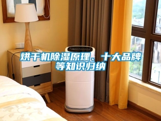 企業(yè)新聞烘干機除濕原理、十大品牌等知識歸納