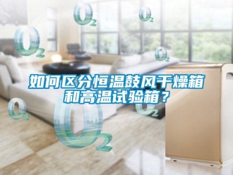 知識百科如何區(qū)分恒溫鼓風(fēng)干燥箱和高溫試驗箱？