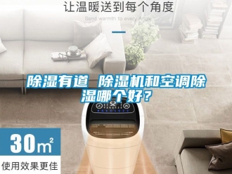 行業(yè)新聞除濕有道 除濕機和空調(diào)除濕哪個好？