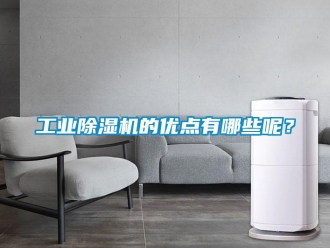 企業(yè)新聞工業(yè)除濕機(jī)的優(yōu)點(diǎn)有哪些呢？
