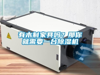 常見問題有木制家具嗎？那你就需要一臺(tái)除濕機(jī)