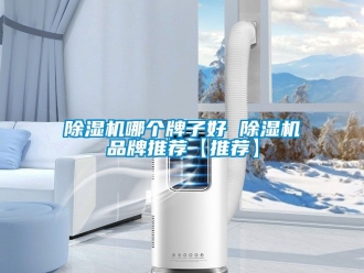 企業(yè)新聞除濕機(jī)哪個牌子好 除濕機(jī)品牌推薦【推薦】